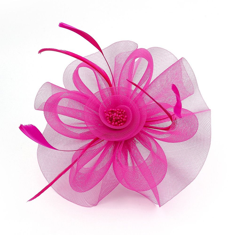 Fascinateur de ruban de plumes - Vintage Fashion Hats avis et prix